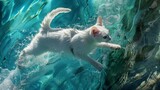 color photo of an enchanting Turkish Van cat gracefully diving into the water, its silky white coat contrasting against the vibrant blue, capturing a moment of pure feline elegance