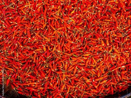 Dry red chili on threshing basket left to dry on the sun. Traditional asian food preservation, it is used extensively in Thailand. photo