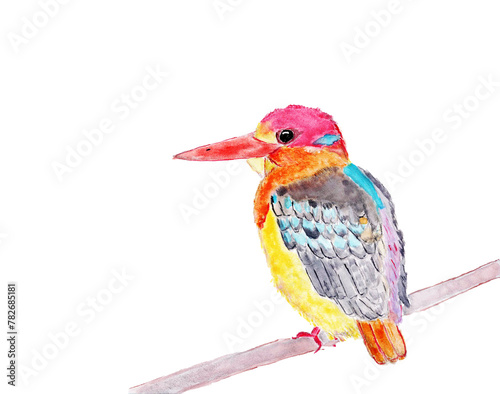 Colorful kingfisher sitting on a tree branch