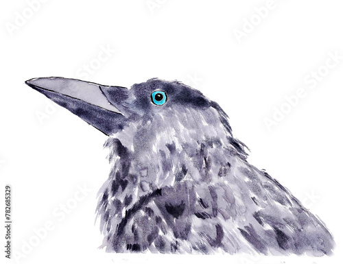 Portrait of the crow with a blue eye