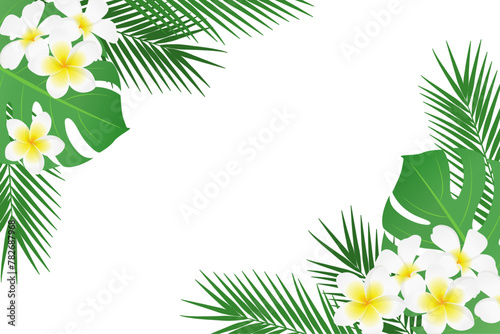 常夏の熱帯植物のフレーム_ベクターイラスト