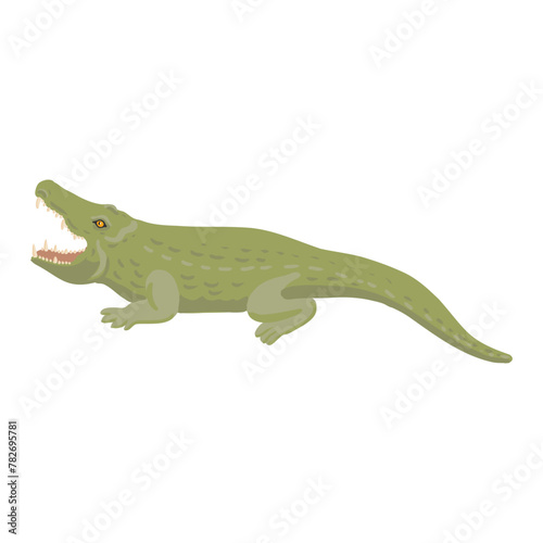 vector drawing green crocodile isolated at white background, hand drawn illustration