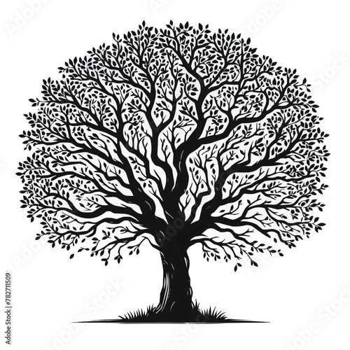 Free vector Tree silhouette isolated on white background. photo