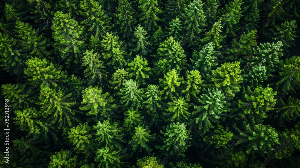 Aerial perspective of Finnish forest, summer greens in full bloom, tranquil beauty, AI Generative