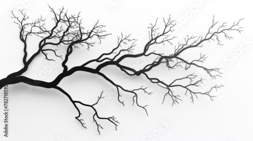 Black tree branches on a white background in a simple vector art style with a flat design and simple details in a minimalist style.