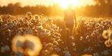 A person walks through a field of cotton bolls in the light of the setting sun.