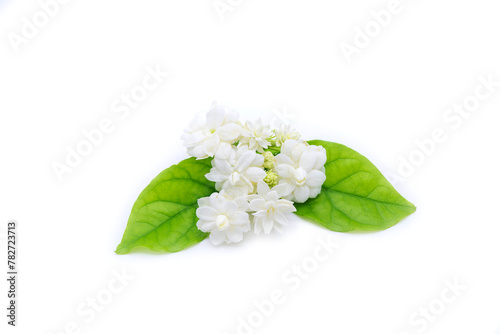 jasmine sambac with green leaves on white background isolated.