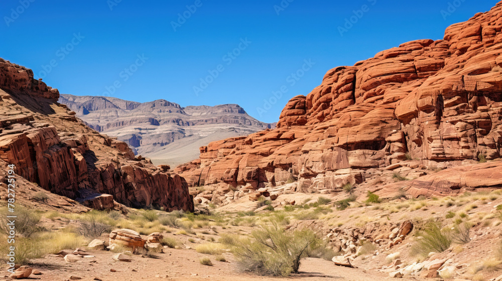 Fototapeta premium grand canyon state country.