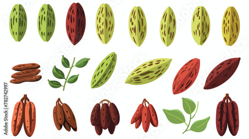Colorful cocoa beans flat illustration set. Cartoon
