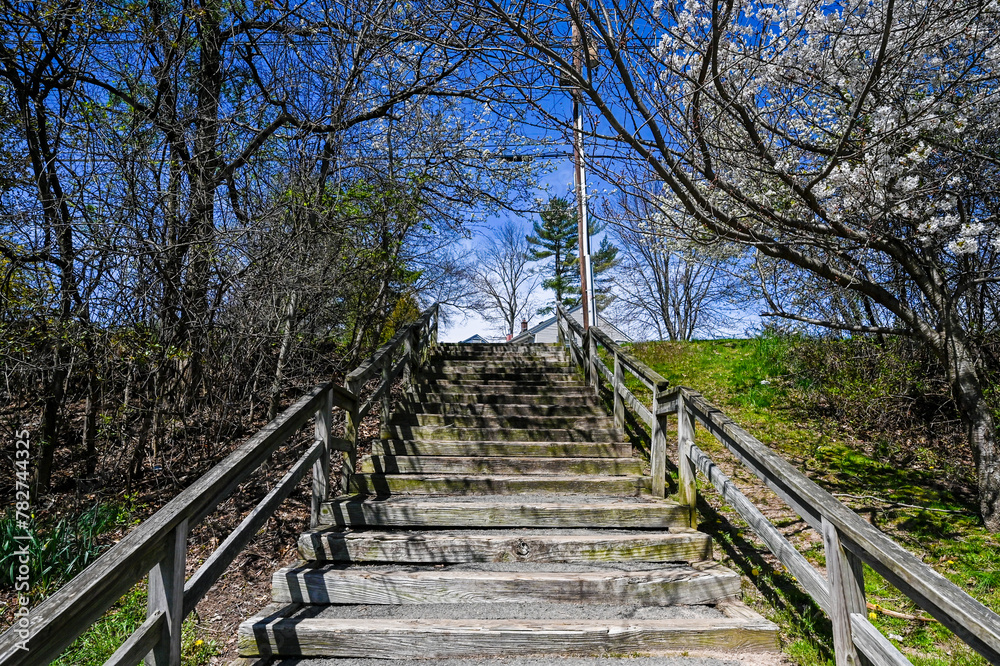 stairs and bridges in  spring's delicate dance unfolds in this captivating close-up of cherry blossoms against a clear blue sky, heralding the season's renewal