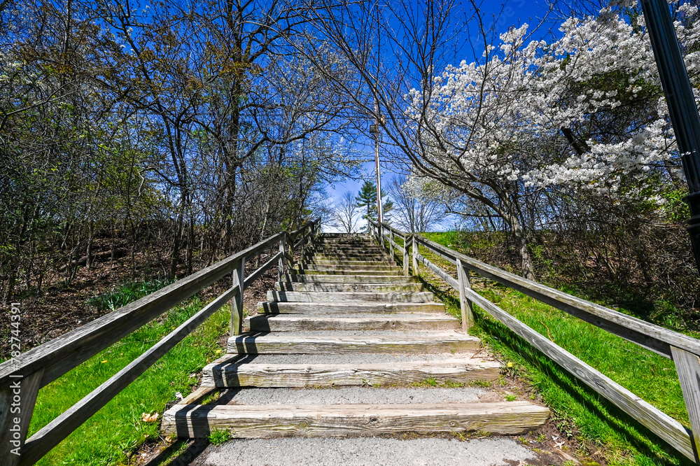 stairs and bridges in  spring's delicate dance unfolds in this captivating close-up of cherry blossoms against a clear blue sky, heralding the season's renewal