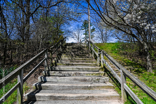 stairs and bridges in  spring s delicate dance unfolds in this captivating close-up of cherry blossoms against a clear blue sky  heralding the season s renewal