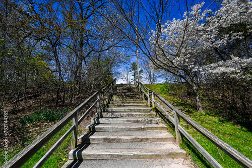 stairs and bridges in  spring s delicate dance unfolds in this captivating close-up of cherry blossoms against a clear blue sky  heralding the season s renewal