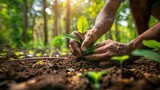 Reforestation Efforts: Planting Trees for a Greener Tomorrow