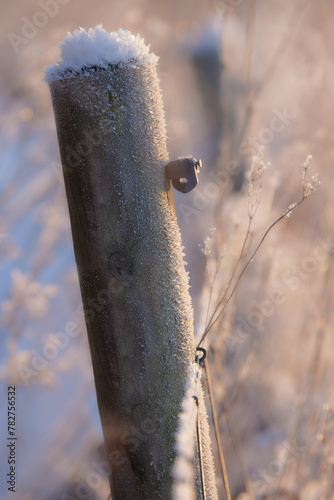 A wooden pole in a fence covered with snow and ice with blurred out grass in the baclground and is lit by a golden light from the setting sun.