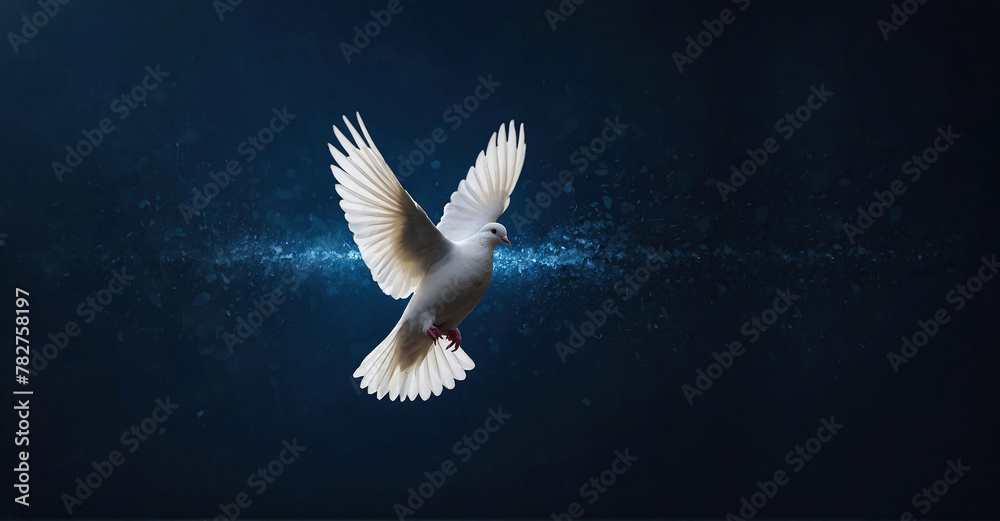 white dove flying on a dark background, flying white dove symbol of peace white dove flying on a dark background, flying white dove symbol of peace
