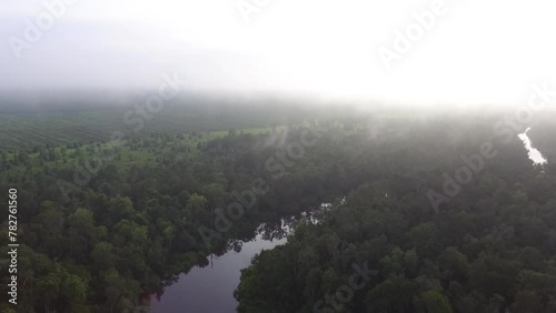  a view of the sekonyer river from above photo