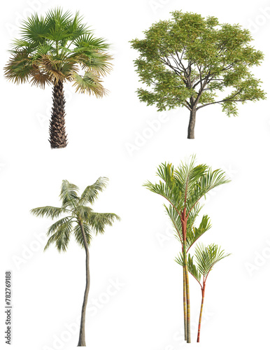 Various trees on transparent background  cutouts 3D rendering for architecture visualization  presentation background  2D or 3D illustration   digital composition