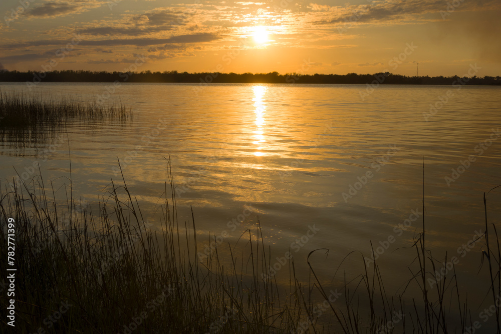 A scenic view of Carolina Beach State Park in North Carolina. 