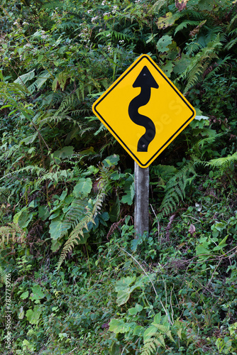 Traffic prevention sign winding road curve and contracurve with  Yunga vegetation wall
