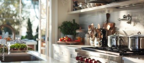 Include sleek, functional storage solutions to maintain the kitchen's streamlined appearance.