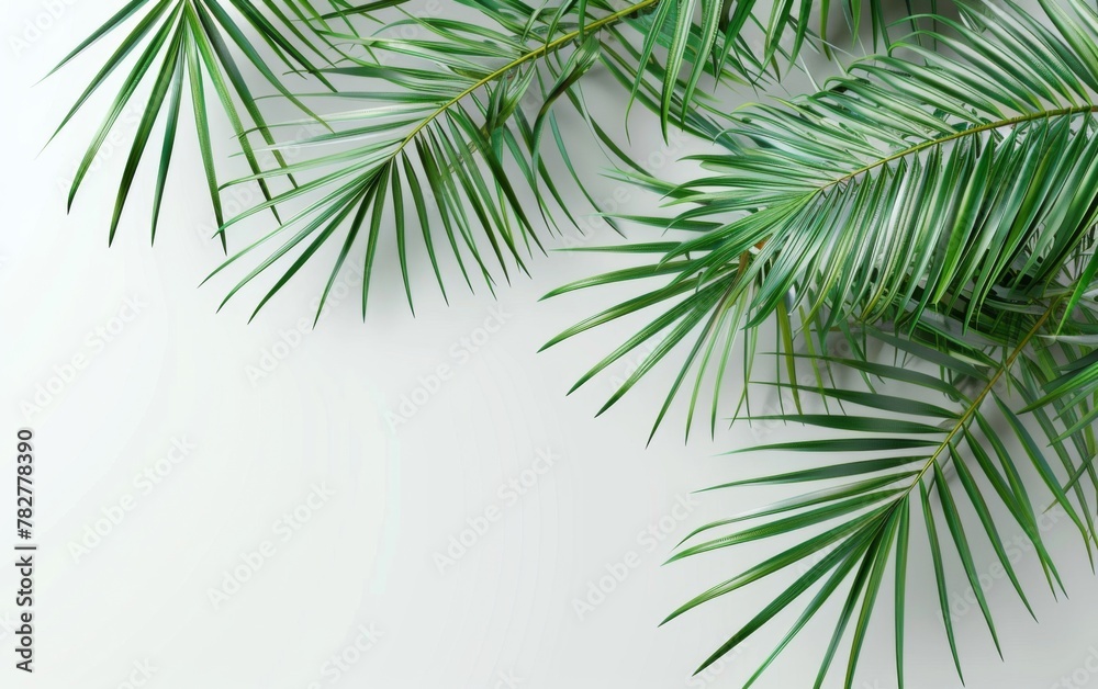 Green leaves isolated on white background and free copy space