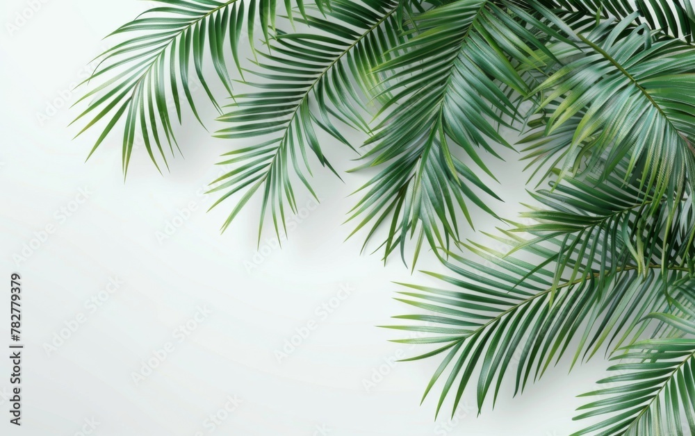 Green leaves isolated on white background and free copy space