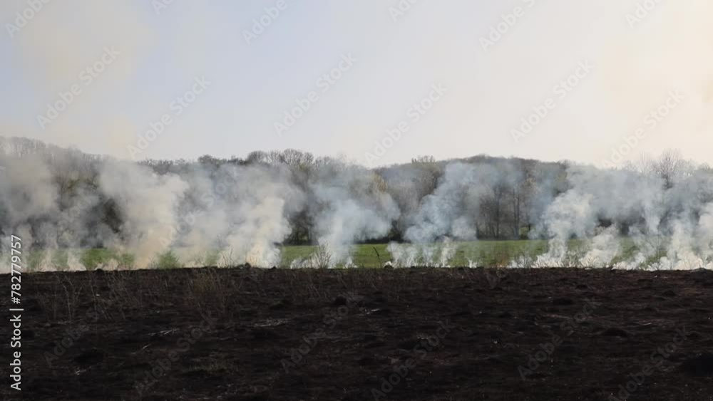 Burning dry grass on the field. Fire in the field. Environmental disaster, environment, climate change, environmental pollution Burning dry grass on the field. Fire in the field. Environmental disaster, environment, climate change, environmental pollution