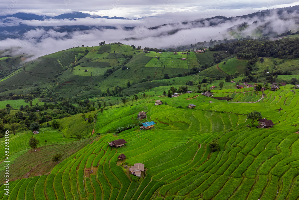 Fototapeta premium Rice terrace fields at Pa Bong Piang village Chiang Mai, Thailand.