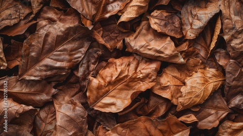 A pile of brown dried tobacco leaves sits atop a wooden floor, creating a rustic and warm scene. Wallpaper. Background.
