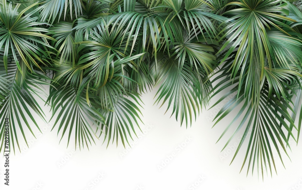 Green leaves isolated on white background and free copy space