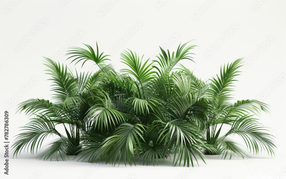Green leaves isolated on white background and free copy space Green leaves isolated on white background and free copy space
