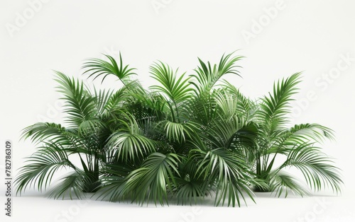 Green leaves isolated on white background and free copy space