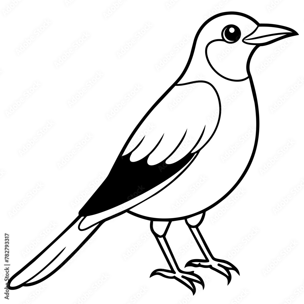 illustration of a bird illustration of a bird