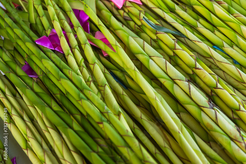 Close-up of green palm fronds intricately woven for Palm Sunday celebrations with ribbon accents.