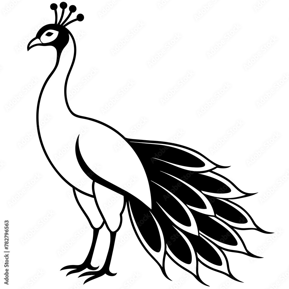 Fototapeta premium illustration of peacock
