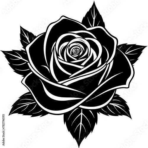 Wallpaper Mural black and white rose Torontodigital.ca