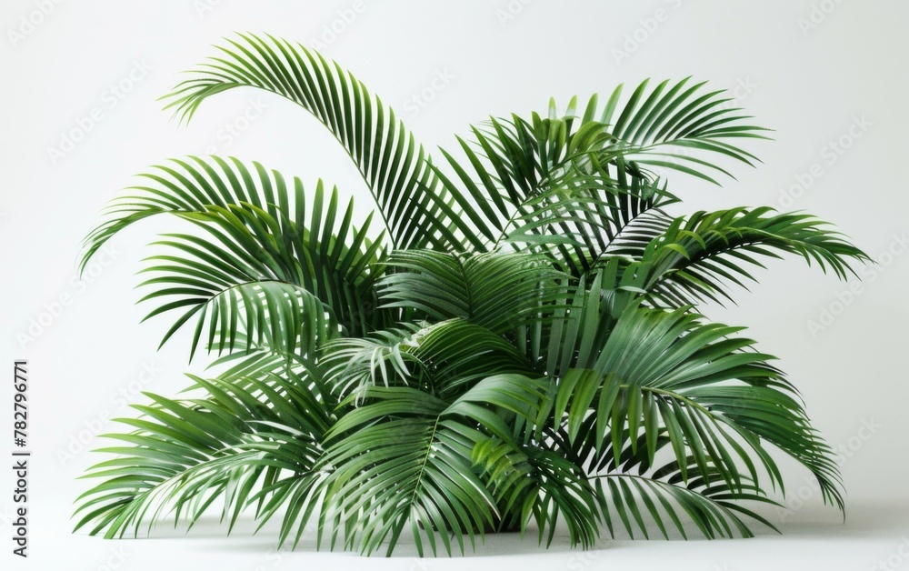Green leaves isolated on white background and free copy space Green leaves isolated on white background and free copy space