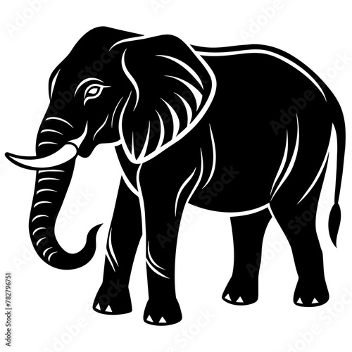 elephant isolated on white
