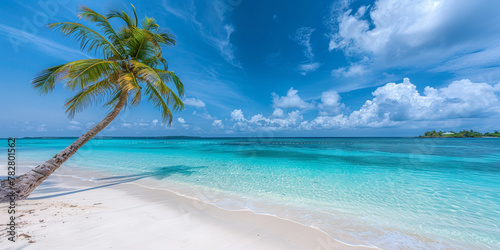 A palm tree is standing on a beach with a clear blue sky