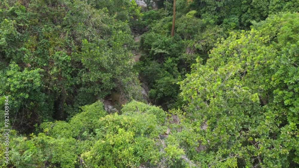 Lush Green Trees And River Flowing In The Sierra Nevada de Santa Marta In Magdalena, Colombia. Aerial Drone Shot Lush Green Trees And River Flowing In The Sierra Nevada de Santa Marta In Magdalena, Colombia. Aerial Drone Shot