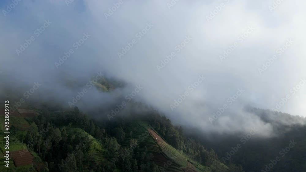 Thick fog shrouded the forest on the mountain slopes Thick fog shrouded the forest on the mountain slopes