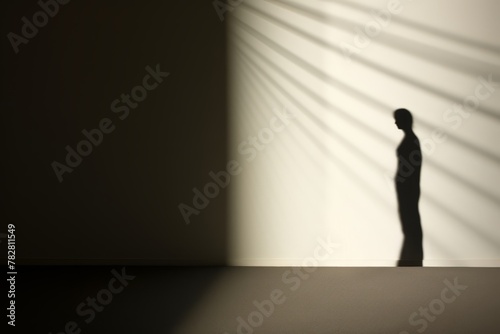 A visual metaphor of light and shadow