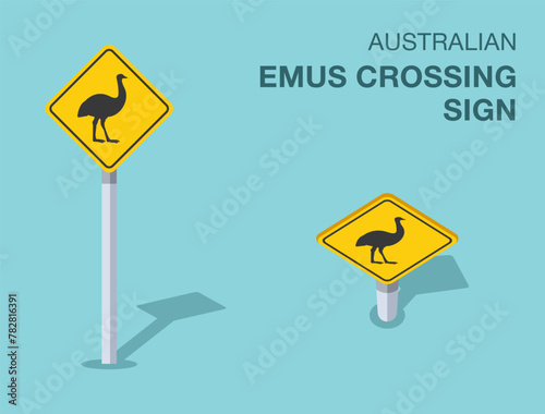 Traffic regulation rules. Isolated Australian "emus crossing" road sign. Front and top view. Flat vector illustration template.