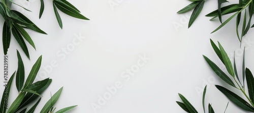 Elegant summer abstract minimalistic backdrop in white shades with ample space for text placement