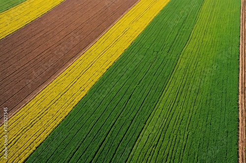Aerial view of colourful agricultural field