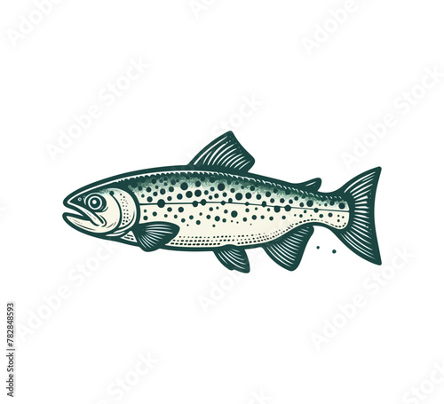 Pacific Trout hand drawn vect...