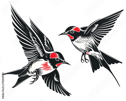 two black and white birds with red beaks