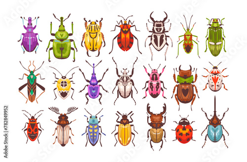 Beetles and bugs. Colorful insects of various shapes. Beetle set vector flat illustration