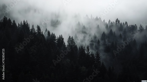 A dense forest enveloped in fog  with the dark silhouettes of trees creating a stark contrast against the white sky. 